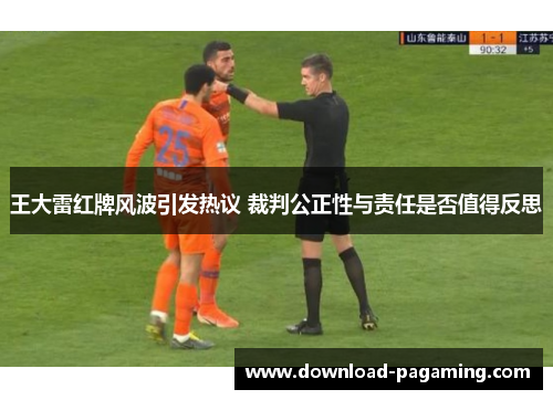 王大雷红牌风波引发热议 裁判公正性与责任是否值得反思